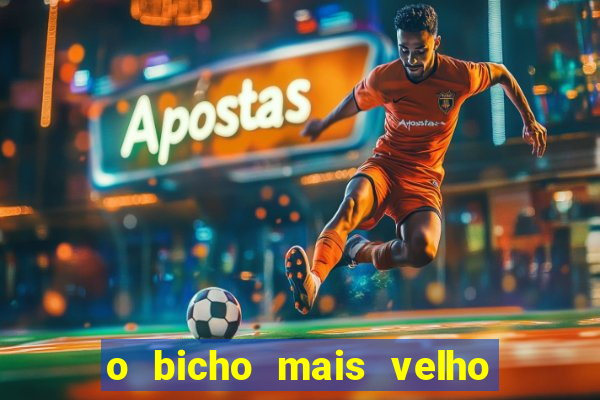 o bicho mais velho da loteria dos sonhos